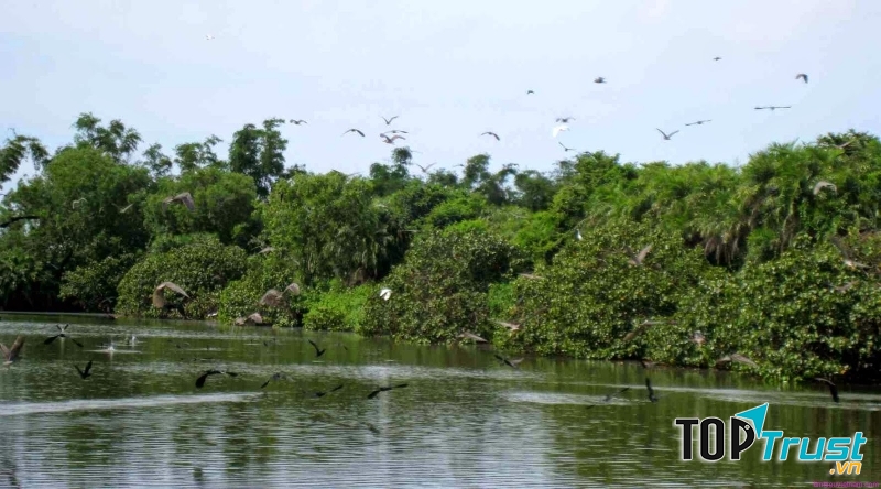 Cồn Ông Trang Cà Mau.