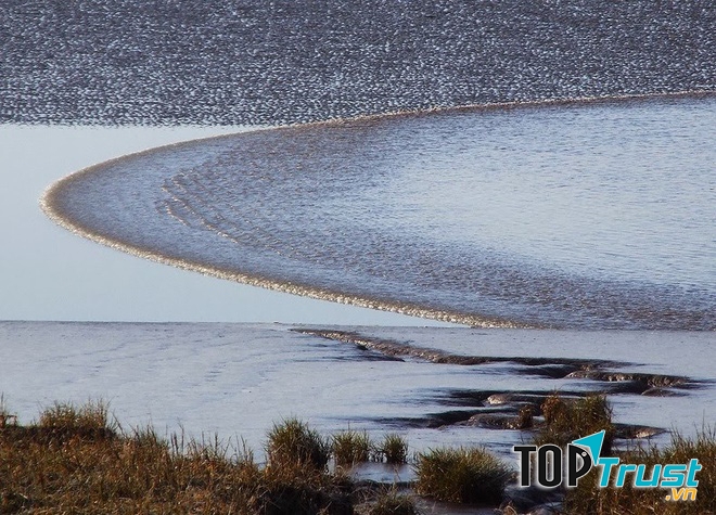 Những con sóng này được người dân Amazon gọi là Pororoca