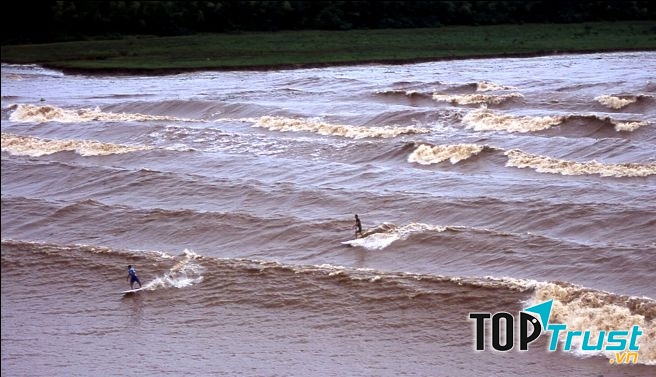 Con sóng dài nhất thế giới