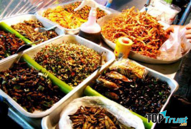 Côn trùng chiên