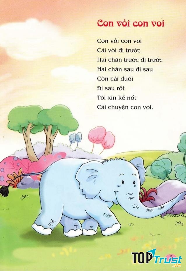 Con vỏi con voi
