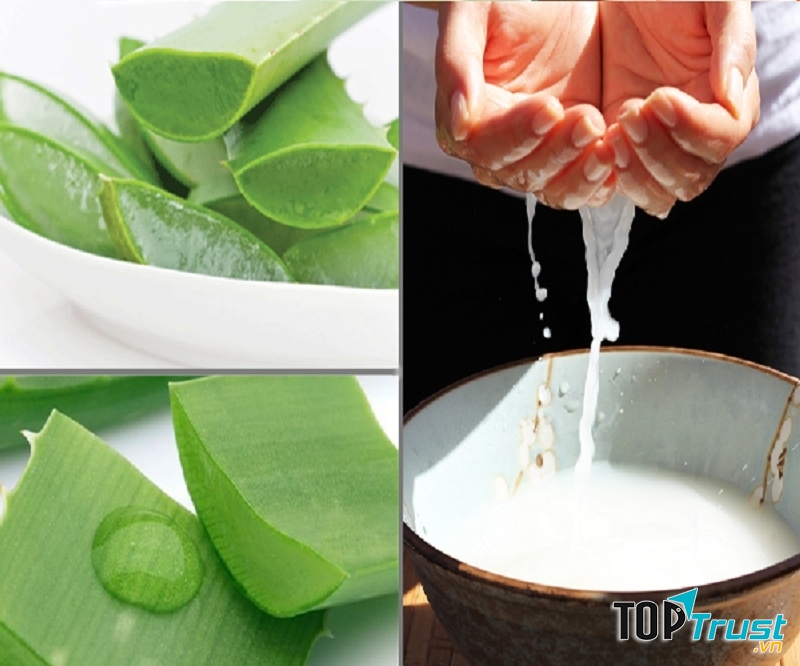 Nha đam giúp trị mụn hiệu quả