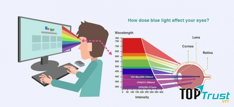 Ảnh hưởng của ánh sáng xanh đến mắt