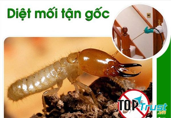 Công ty An Thanh