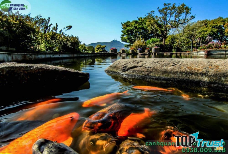 Công ty Cảnh Quan Sân Vườn 24h