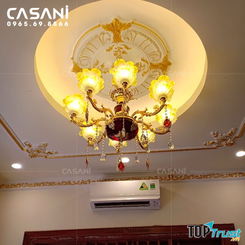 Công ty cổ phần ASP Việt Nam (Casani)