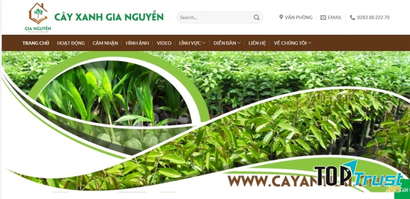 Công Ty Cổ Phần Cây Xanh Gia Nguyễn