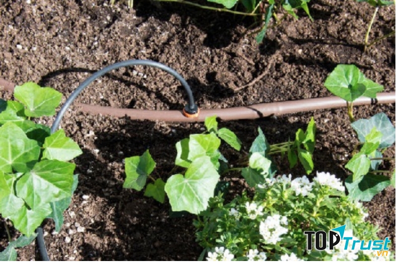 Công ty Cổ phần Công nghệ tưới Bình Minh