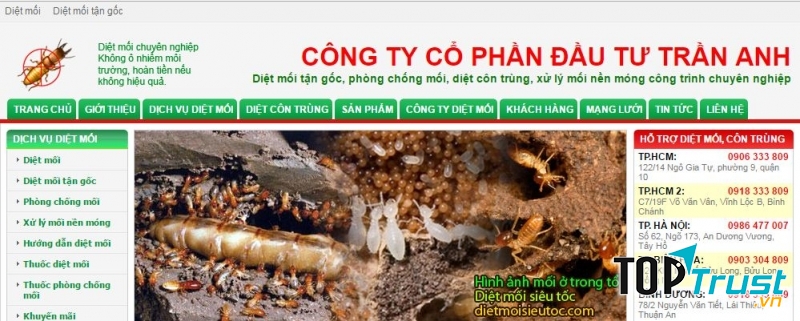 Trang web của công ty cổ phần đầu tư Trần Anh