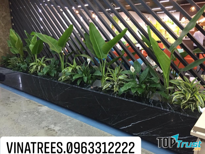 Công ty cổ phần đầu tư xây dựng và môi trường ViNaTrees