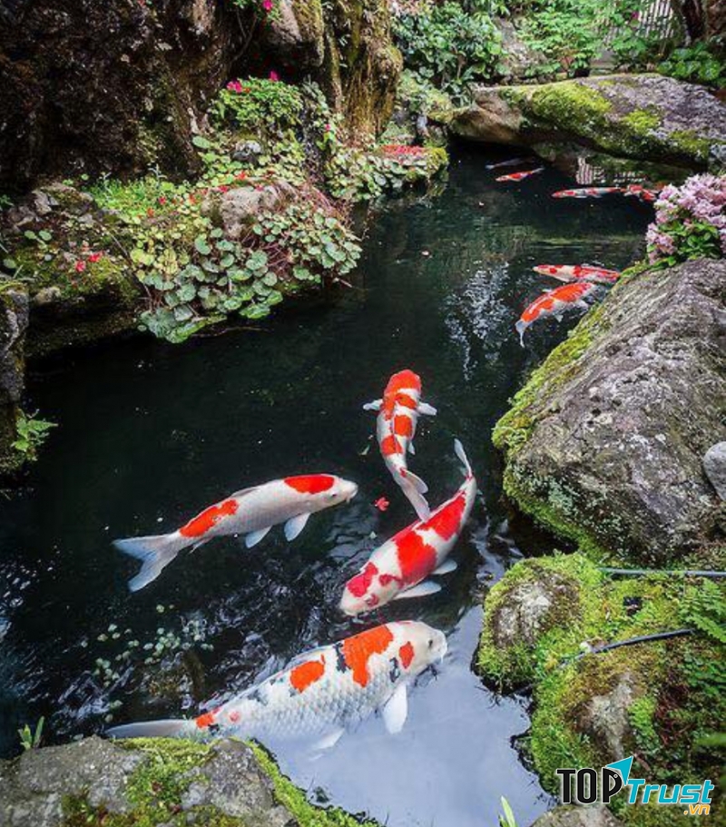 CÔNG TY CỔ PHẦN DỊCH VỤ VÀ SẢN XUẤT SƠN KIM VIỆT NAM