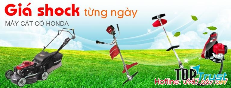 CÔNG TY CỔ PHẦN ĐIỆN MÁY TOÀN CẦU STAR VIỆT NAM