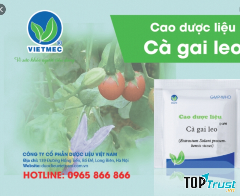 Công ty cổ phần Dược Liệu Việt Nam (VIETMEC)