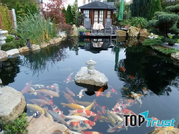 CÔNG TY CỔ PHẦN KIẾN TRÚC PHONG CẢNH Á ĐÔNG