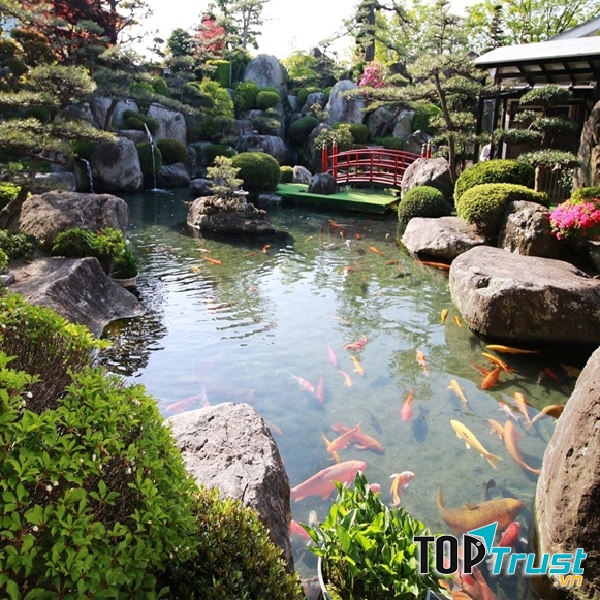 CÔNG TY CỔ PHẦN KIẾN TRÚC PHONG CẢNH Á ĐÔNG