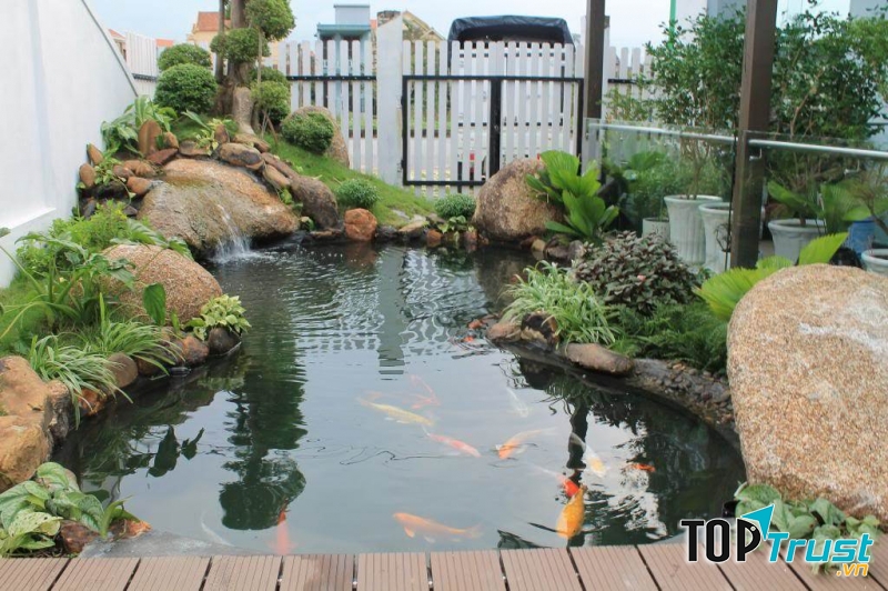 Một hồ cá đẹp bảo quanh bởi một không gian có xanh mát