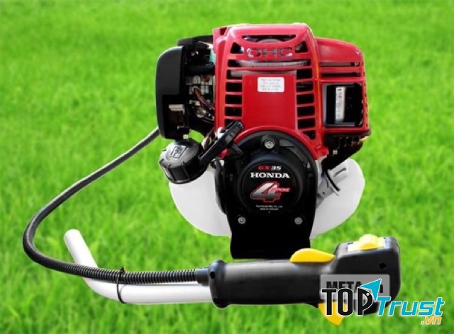 CÔNG TY CỔ PHẦN MẠNG TRỰC TUYẾN META.