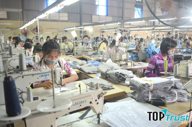 Công ty Cp May Bình Định