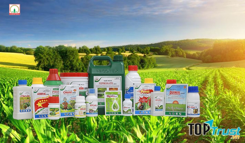 CÔNG TY CỔ PHẦN NICOTEX