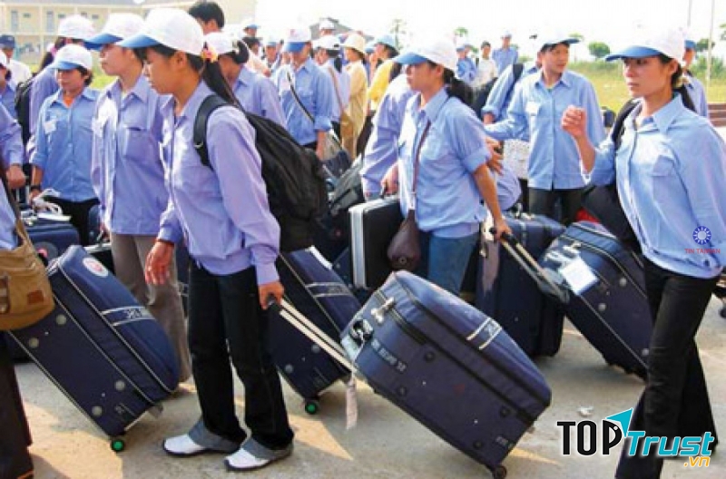 Qua các khoá đào tạo ngắn hạn, dài hạn, người lao động do công ty cung ứng luôn đáp ứng được mọi nhu cầu tuyển dụng của các đối tác trên thị trường quốc tế