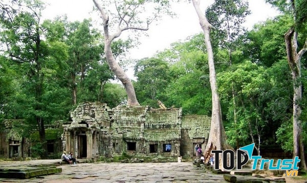 Tour quốc tế