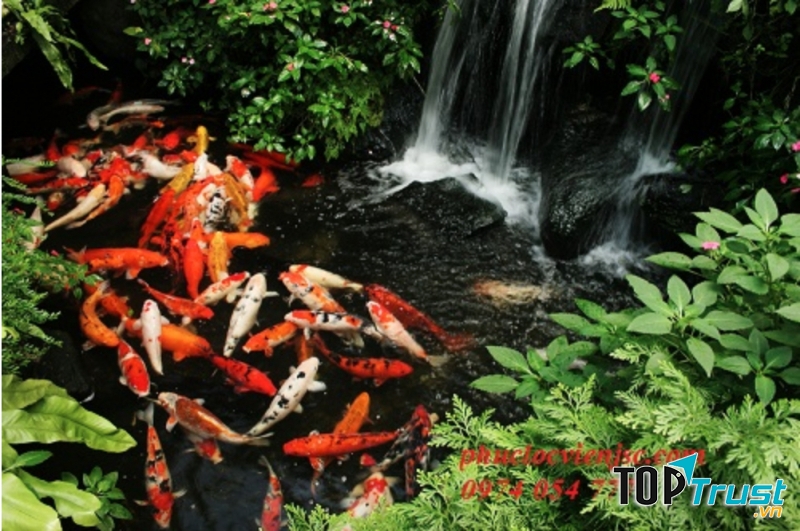 CÔNG TY CỔ PHẦN PHÚC LỘC VIÊN-CHI NHÁNH TẠI ĐÀ NẴNG