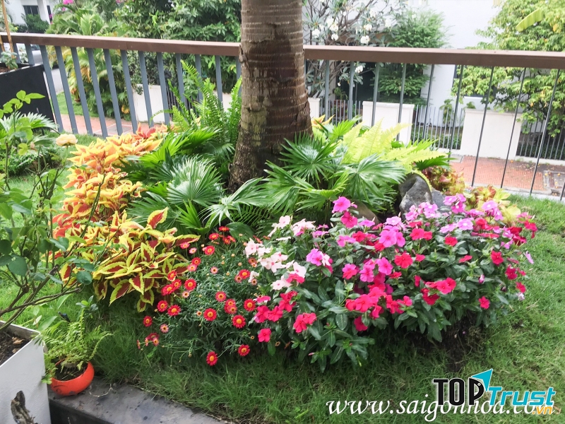 Công Ty Cổ Phần Sài Gòn Hoa