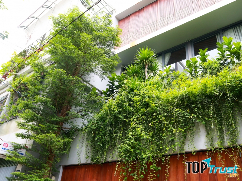 Công Ty Cổ Phần Sài Gòn Hoa