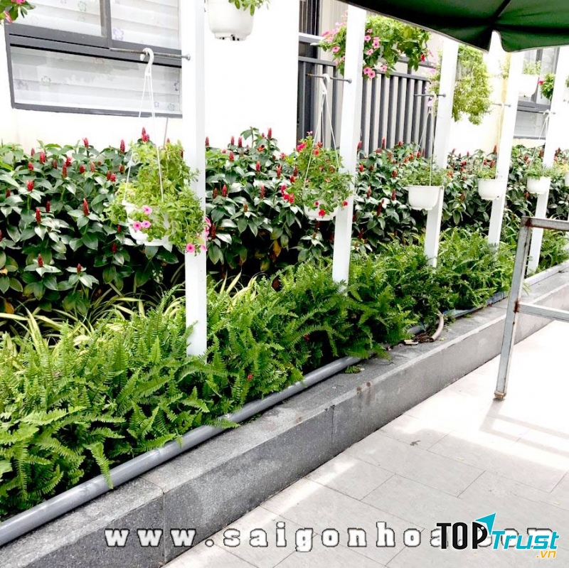 Công ty cổ phần Sài Gòn Hoa