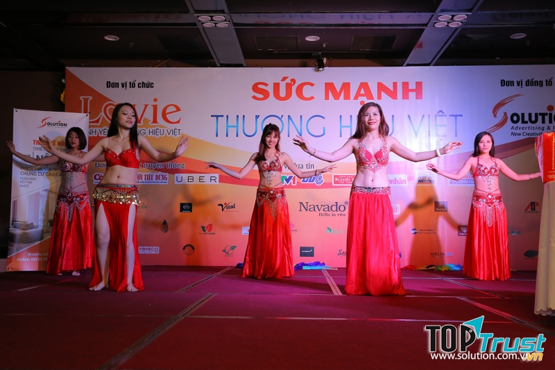 Công Ty Cổ phần Tập Đoàn Giải Pháp Việt Nam