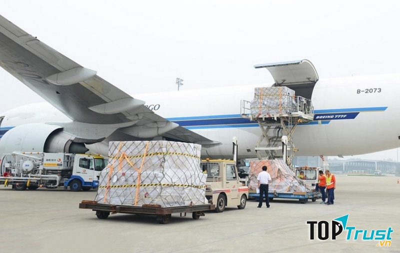 Vận tải hàng không là một trong những thế mạnh của Đại Dương Xanh