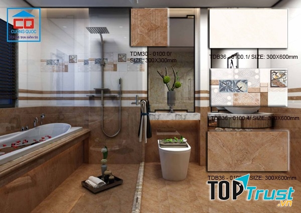 Công ty Cổ phần Thương mại và Dịch vụ Cường Quốc