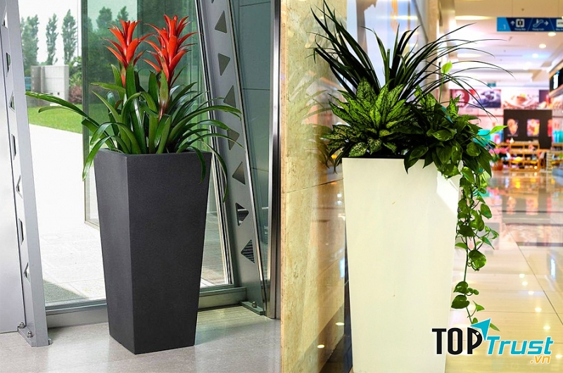 Công ty cổ phần Vật liệu mới MG Việt Nam