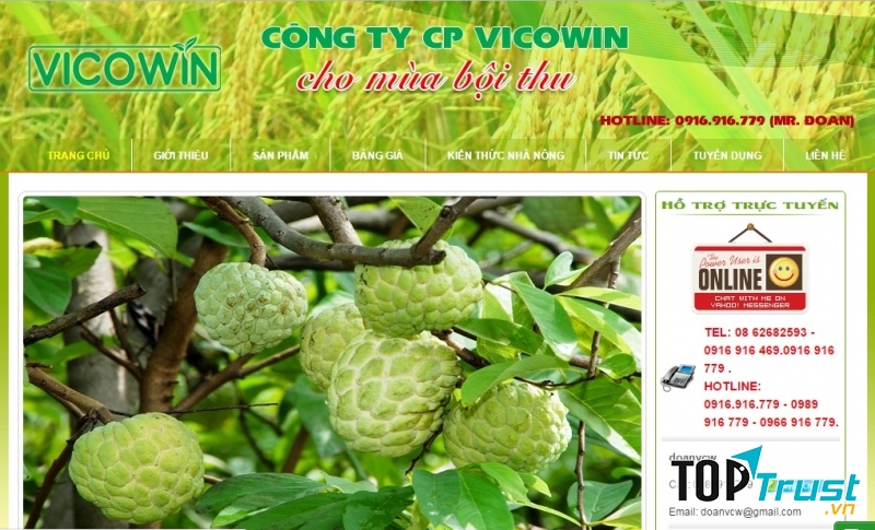 Website của Công Ty Cổ Phần VICOWIN