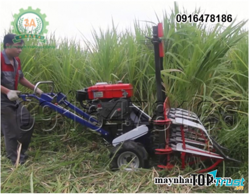 Công ty CP Đầu Tư Tuấn