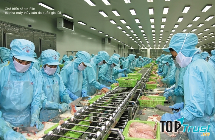 CÔNG TY CP ĐẦU TƯ VÀ PHÁT TRIỂN ĐA QUỐC GIA IDI