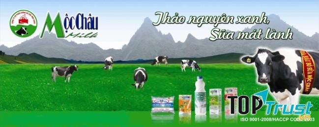 Công ty CP giống bò sữa Mộc Châu