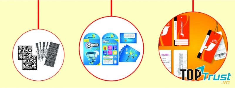 Công Ty CP Hồng Đào Chu Lai