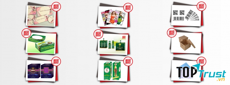 Công Ty CP Hồng Đào Chu Lai