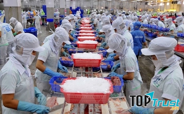 CÔNG TY CP NAM VIỆT