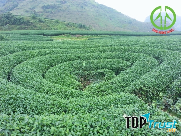Tour Mộc Châu