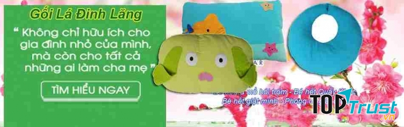 Tấn Phát là thương hiệu được đông đảo khách hàng lựa chọn khi mua gối đinh lăng