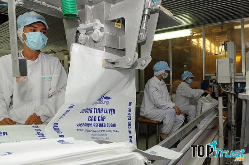 CÔNG TY CP THÀNH THÀNH CÔNG - BIÊN HÒA