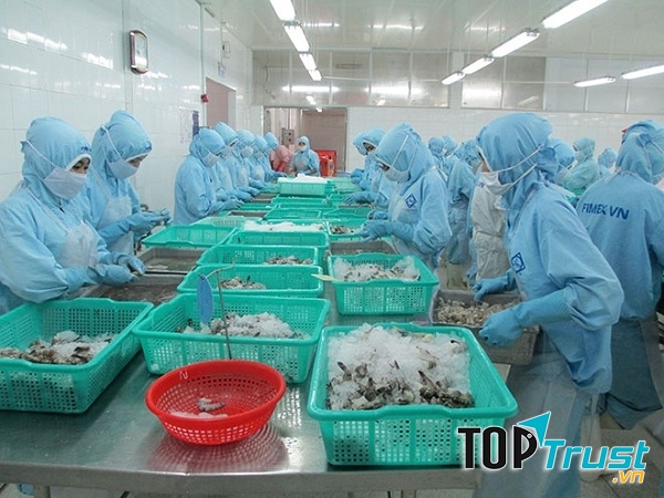 CÔNG TY CP THỰC PHẨM SAO TA