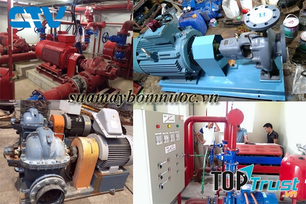 Công ty CP TM & DV Cường Thịnh Vương