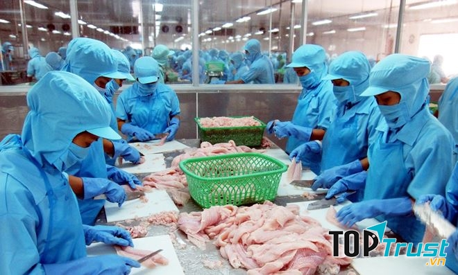 CÔNG TY CP VĨNH HOÀN