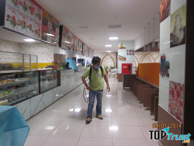 Công Ty Đại Toàn Việt chuyên cung cấp dịch vụ diệt mối, côn trùng tận nhà trên địa bàn tỉnh Đồng Nai.