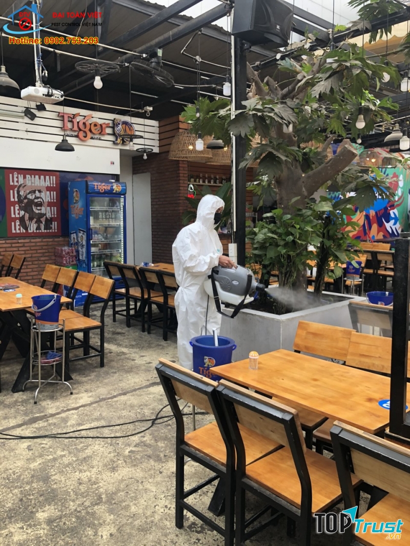 Công ty Đại Toàn Việt