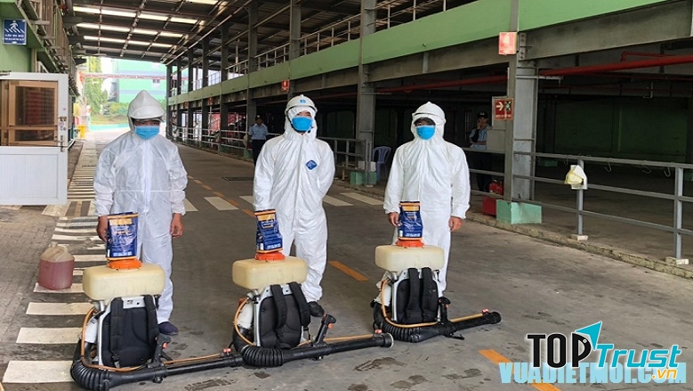 Công ty Đại Việt