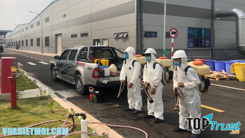 Công ty Đại Việt